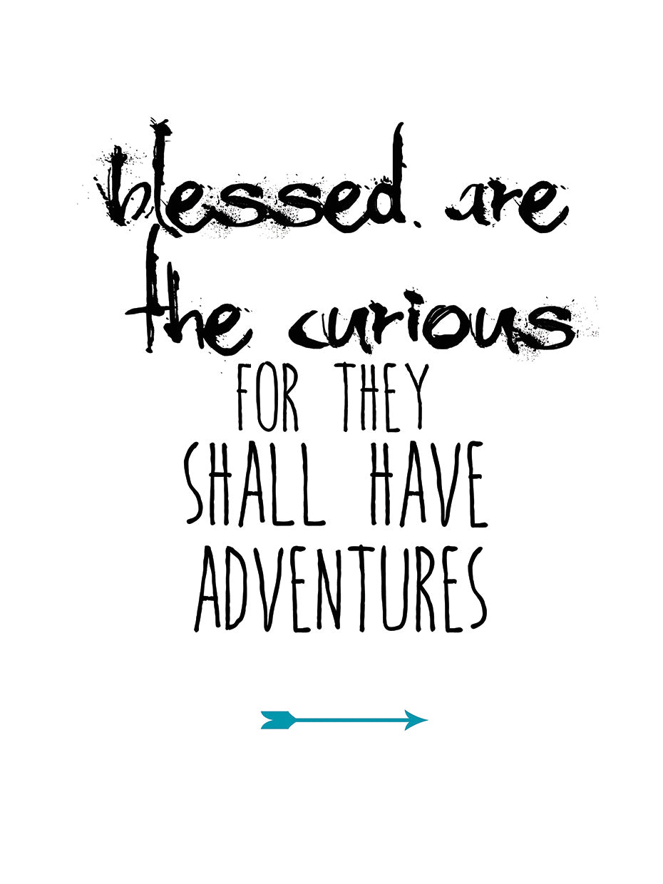 Blessed are the Curious by Jan Weiss - lowest price wall art work on large canvas & framed canvas prints