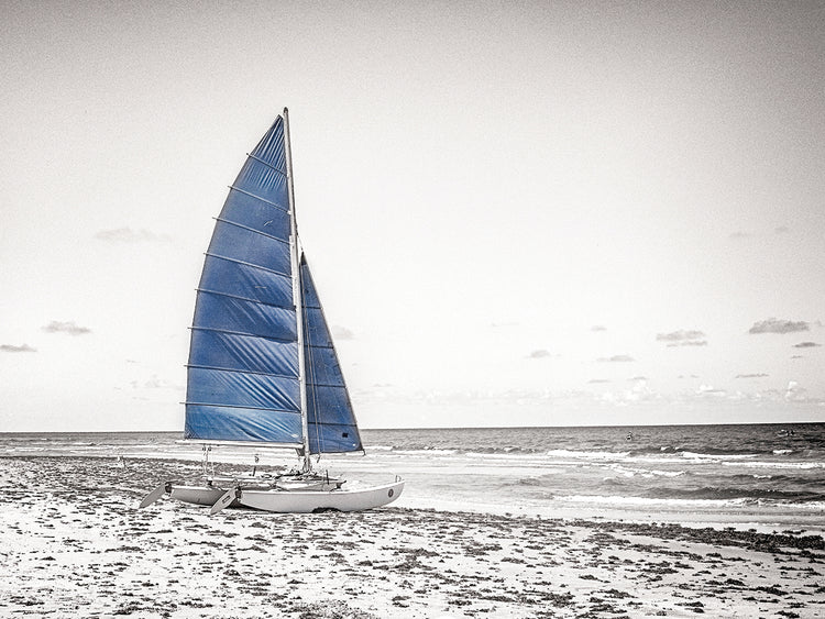 Blue Catamaran B&W