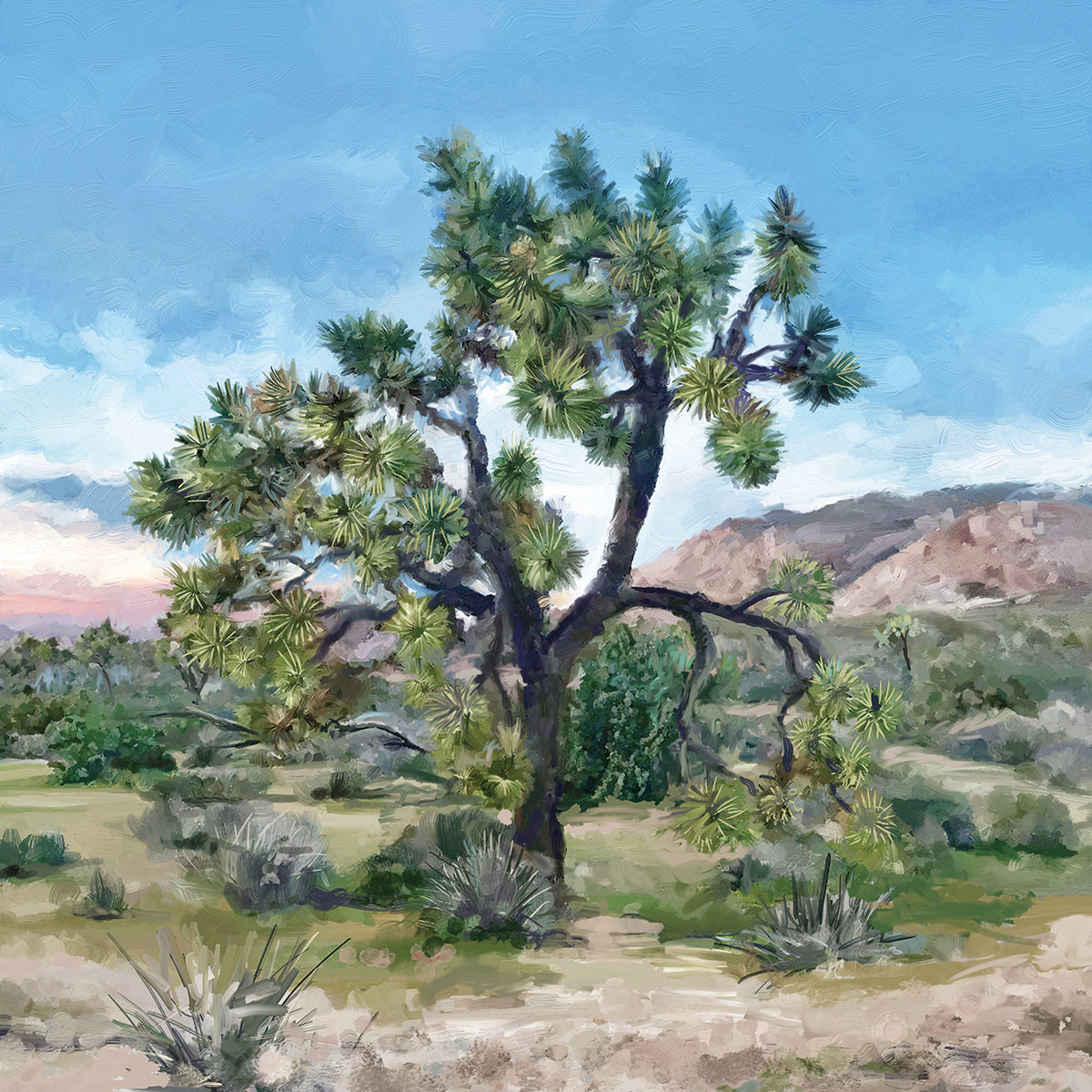 Joshua Tree Light