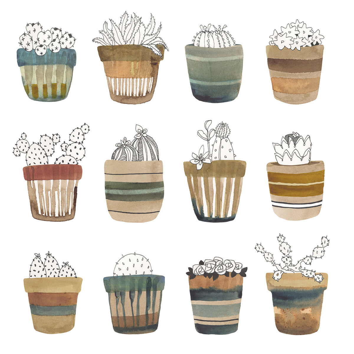 Cactus Collective