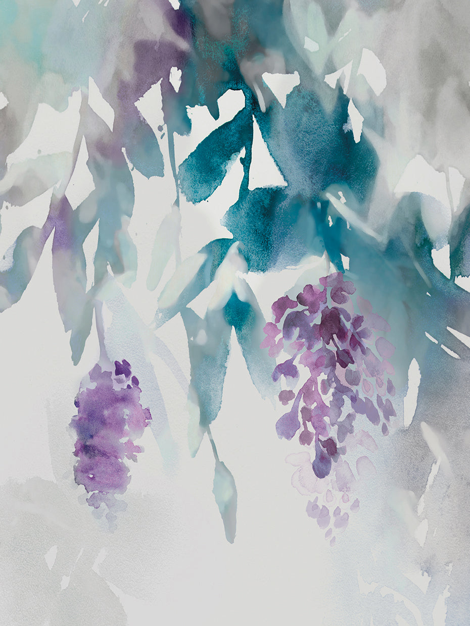 Delicate Wisteria