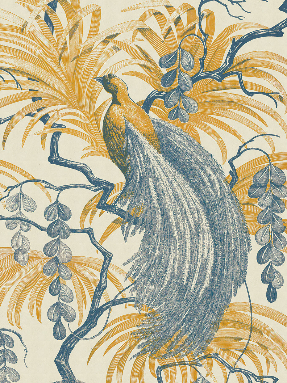 Feathered Fantasia