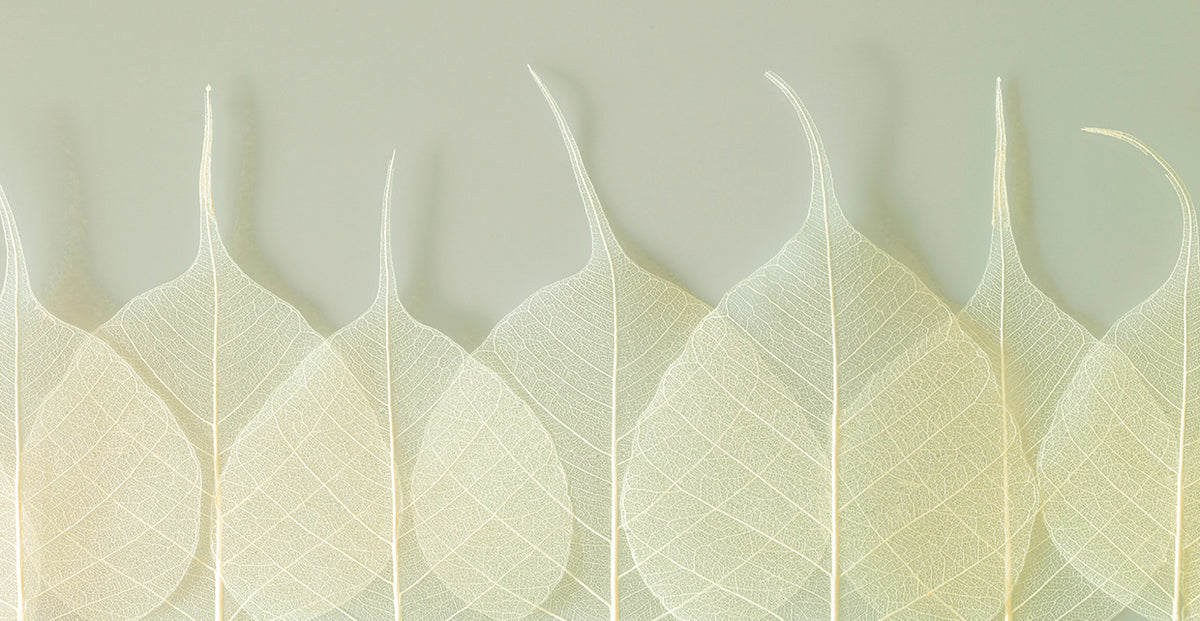Interlace