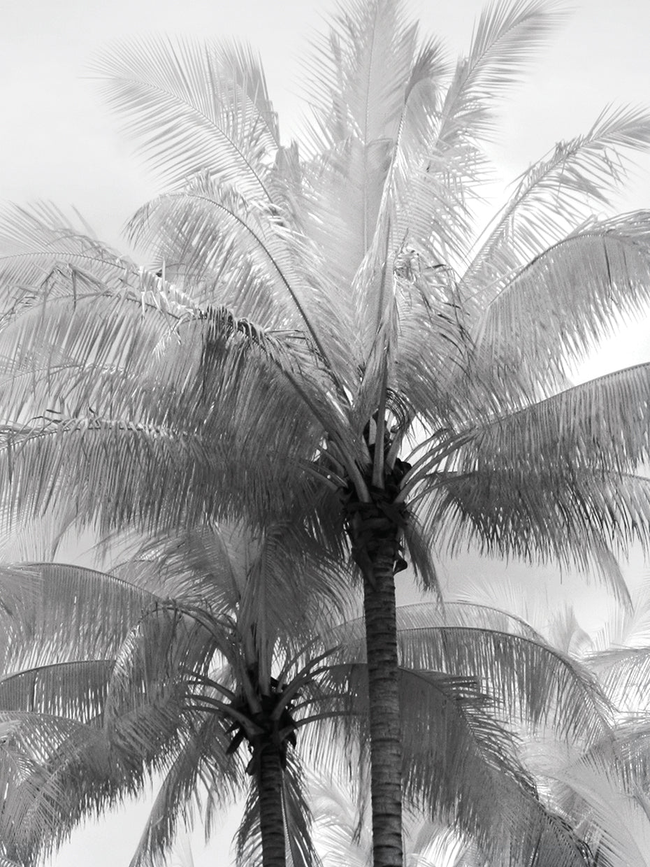 Kerala Focus