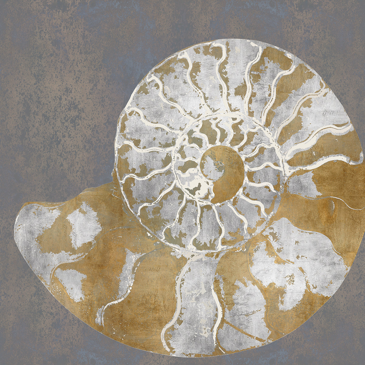 Nautilus II