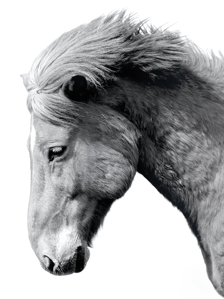 Portrait Gaze Irene Suchockis