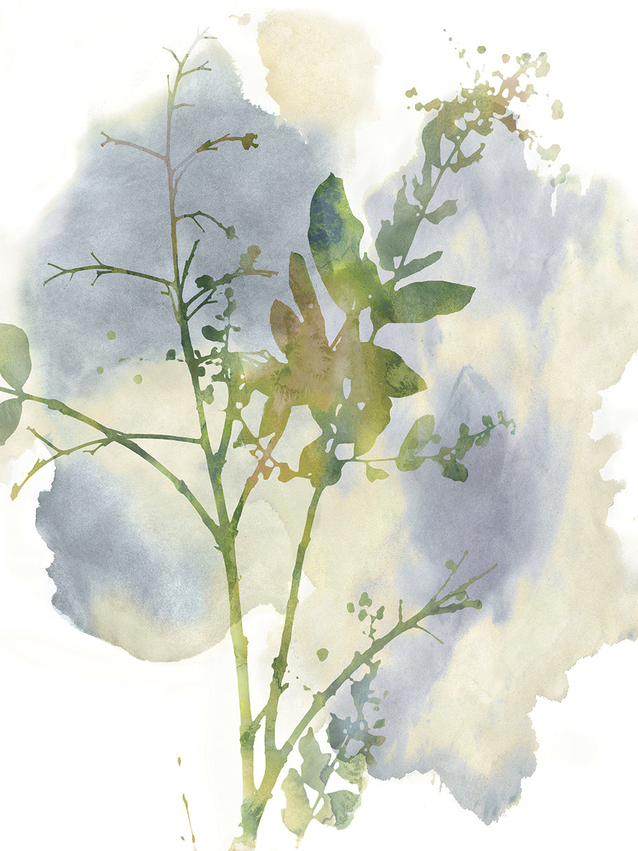 Wildflower Harmony