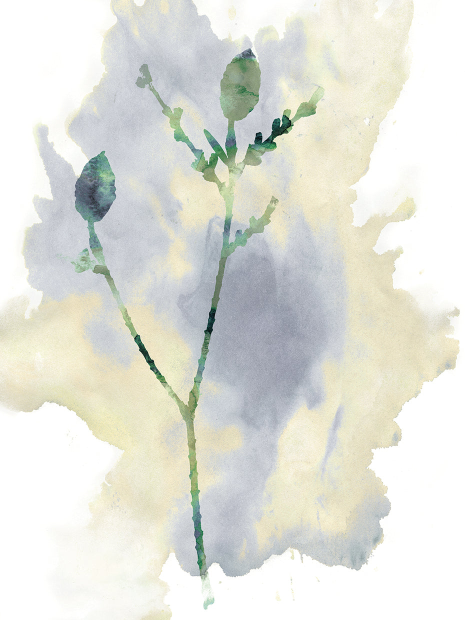 Wildflower Lyrical