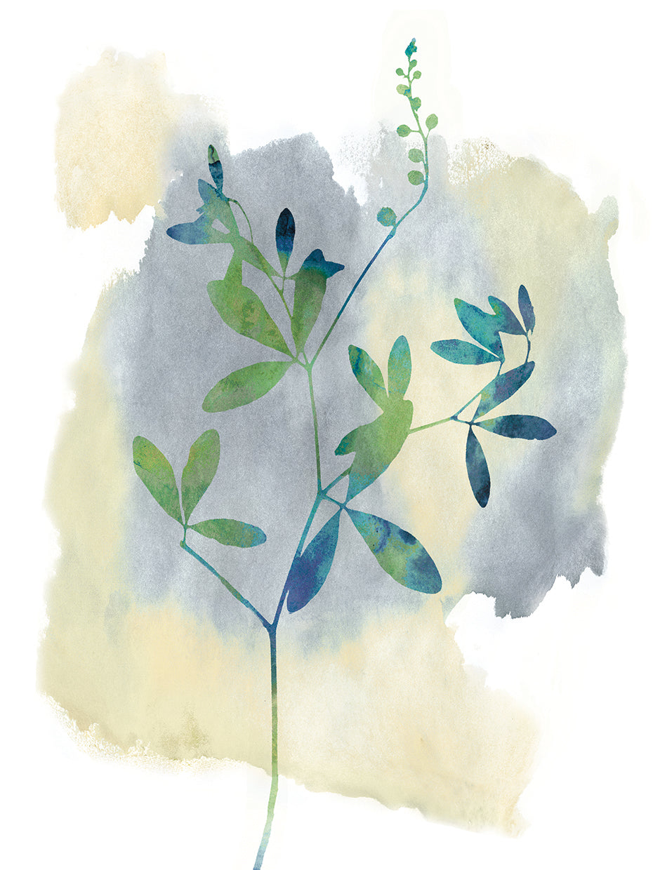 Wildflower Symphony
