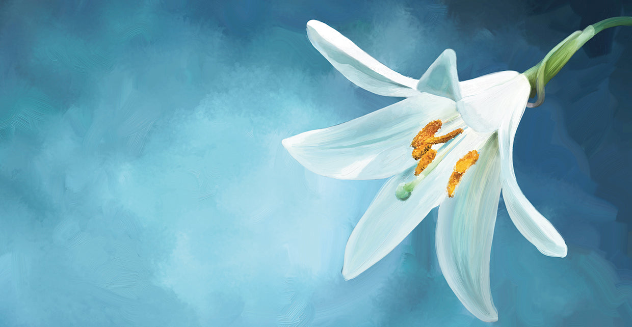 Modern Lily Panel Soft