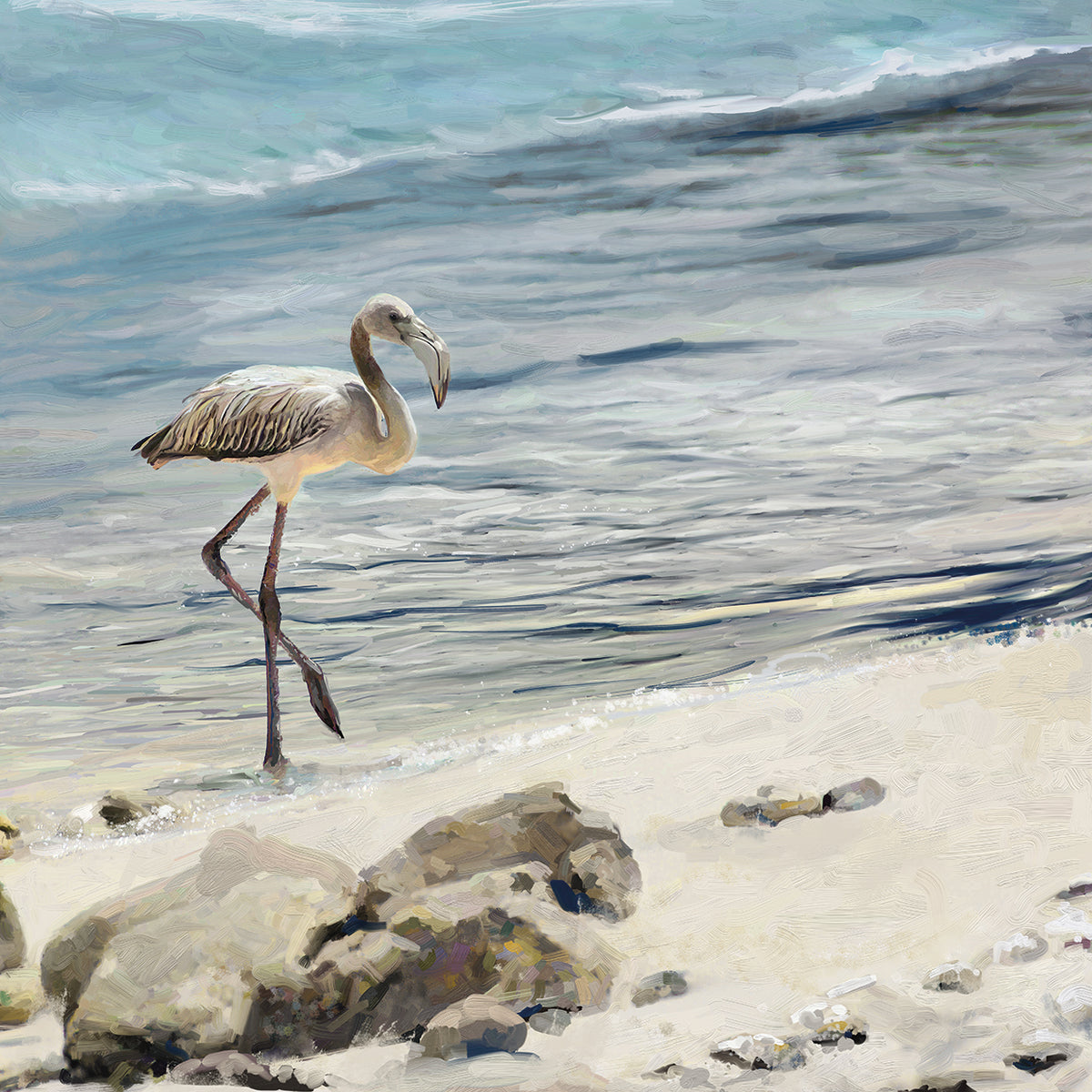 Shorebird