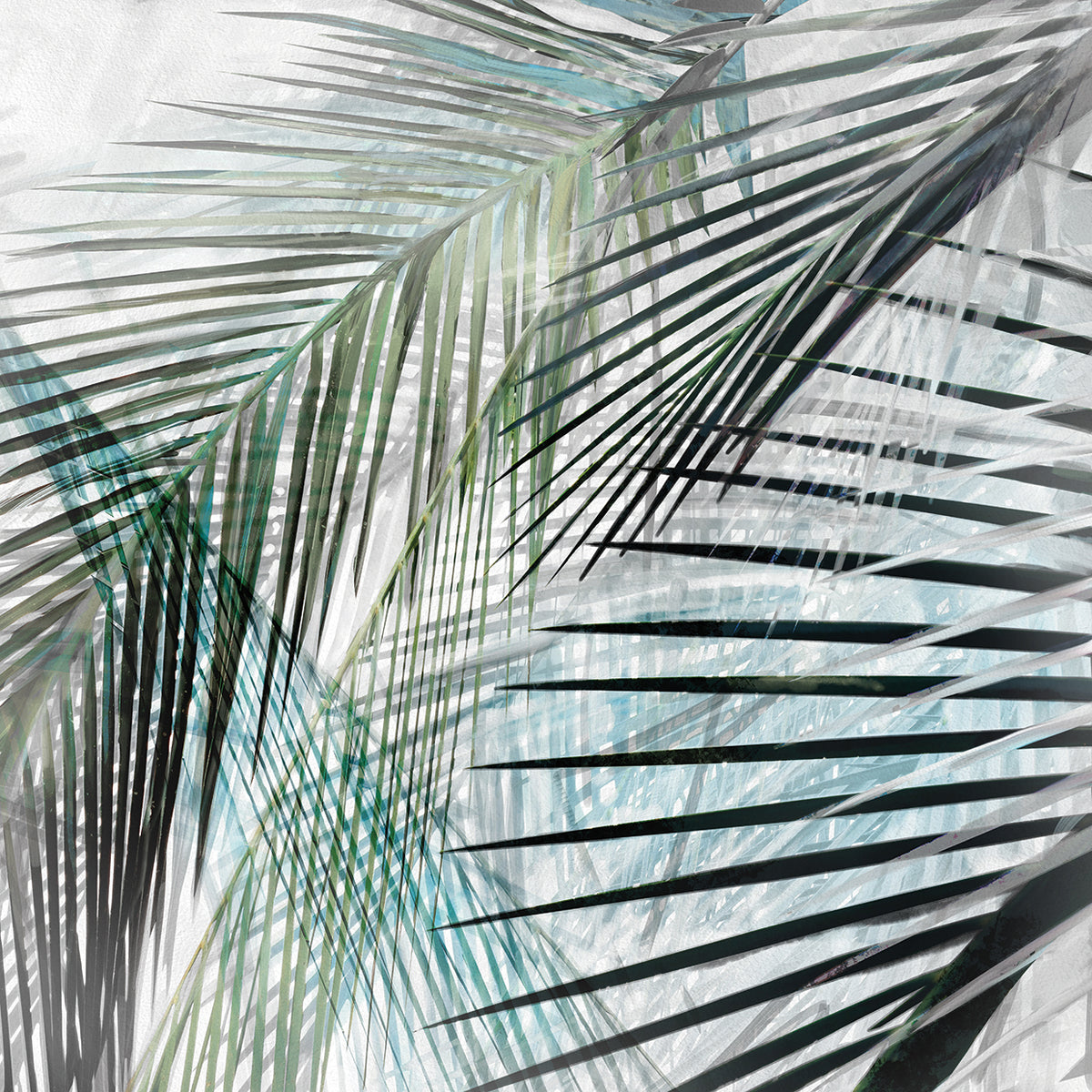 Tropical Breeze