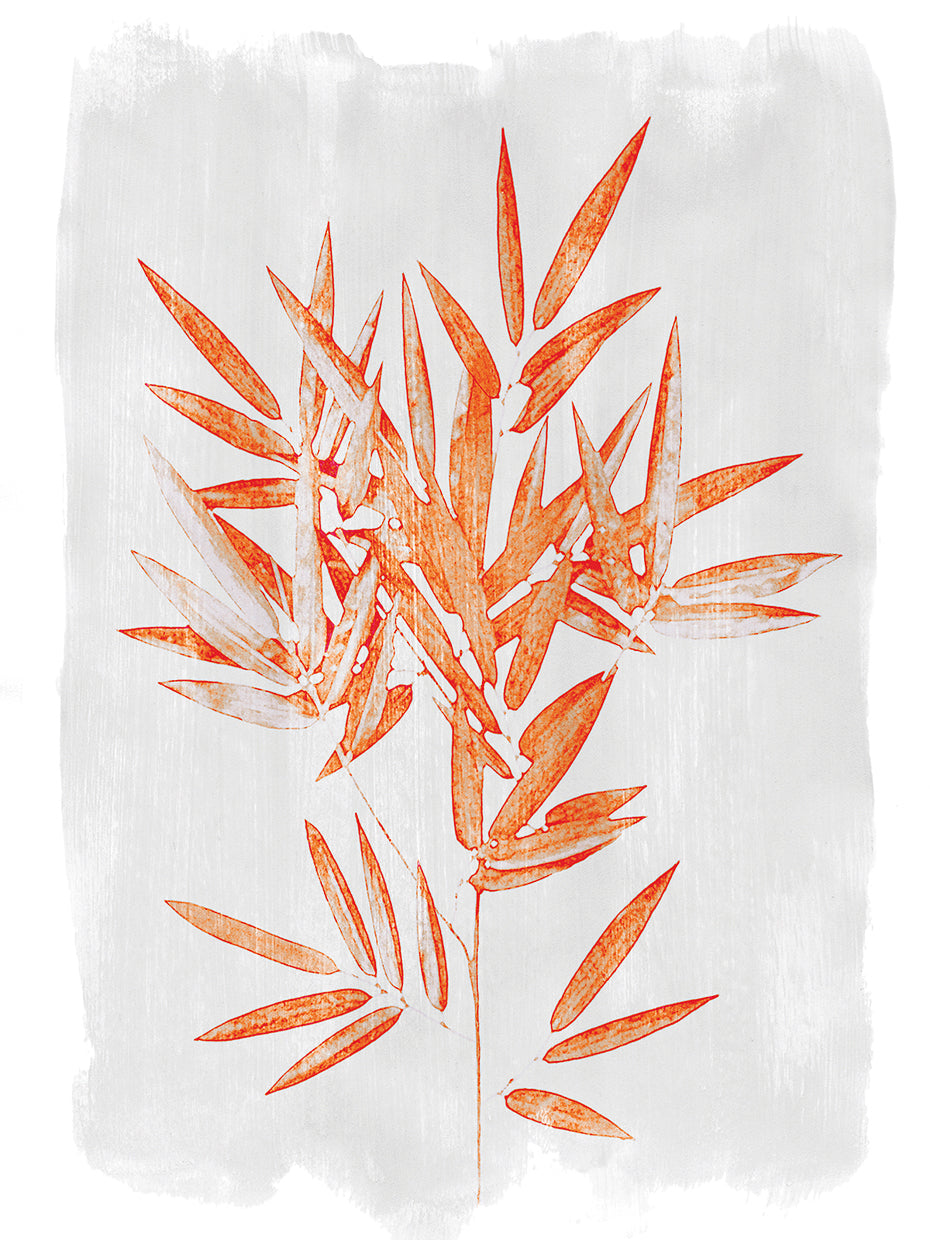 Bamboo Harmony