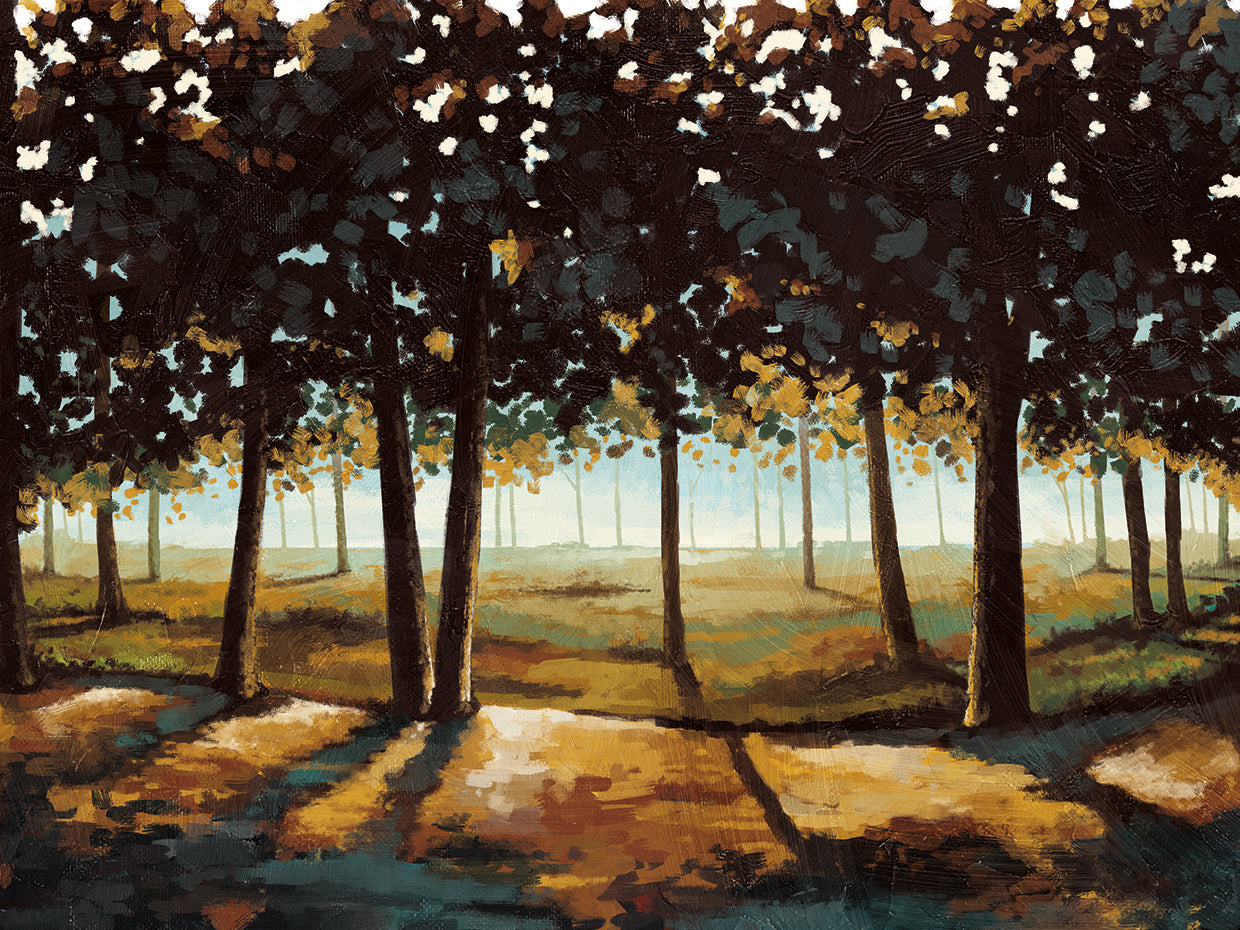 Dynamic Light Landscape