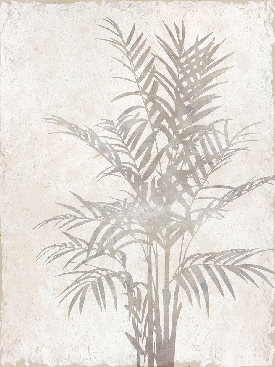 Foliage Shadow