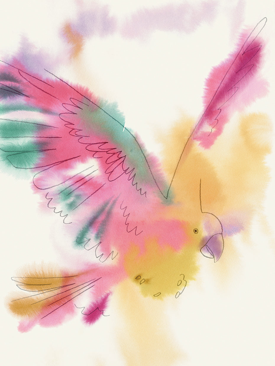 Paradise Parrot Glide