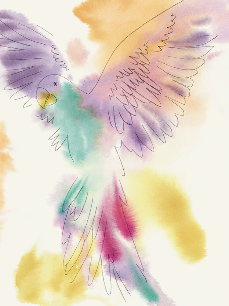 Paradise Parrot Soar