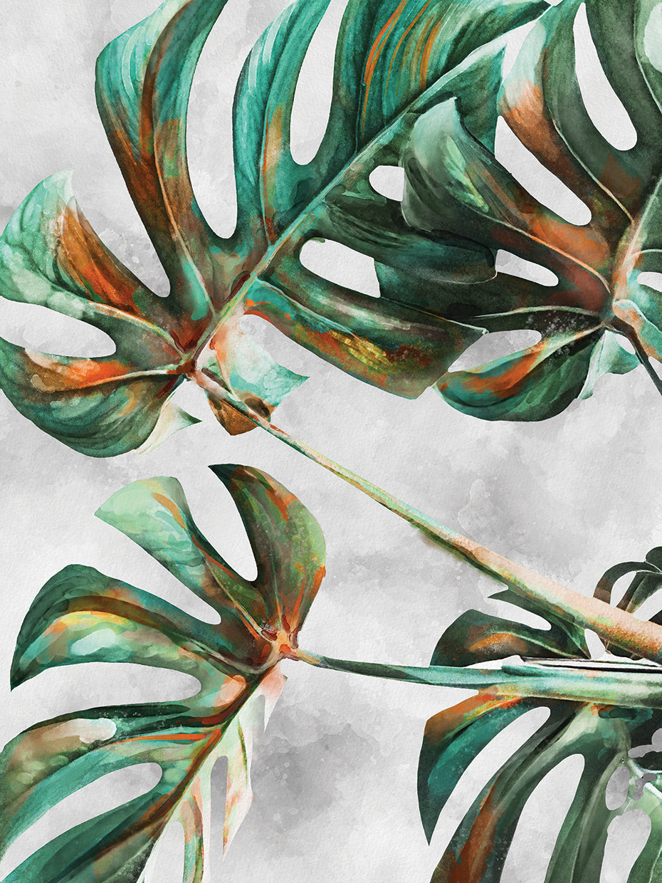 Monstera