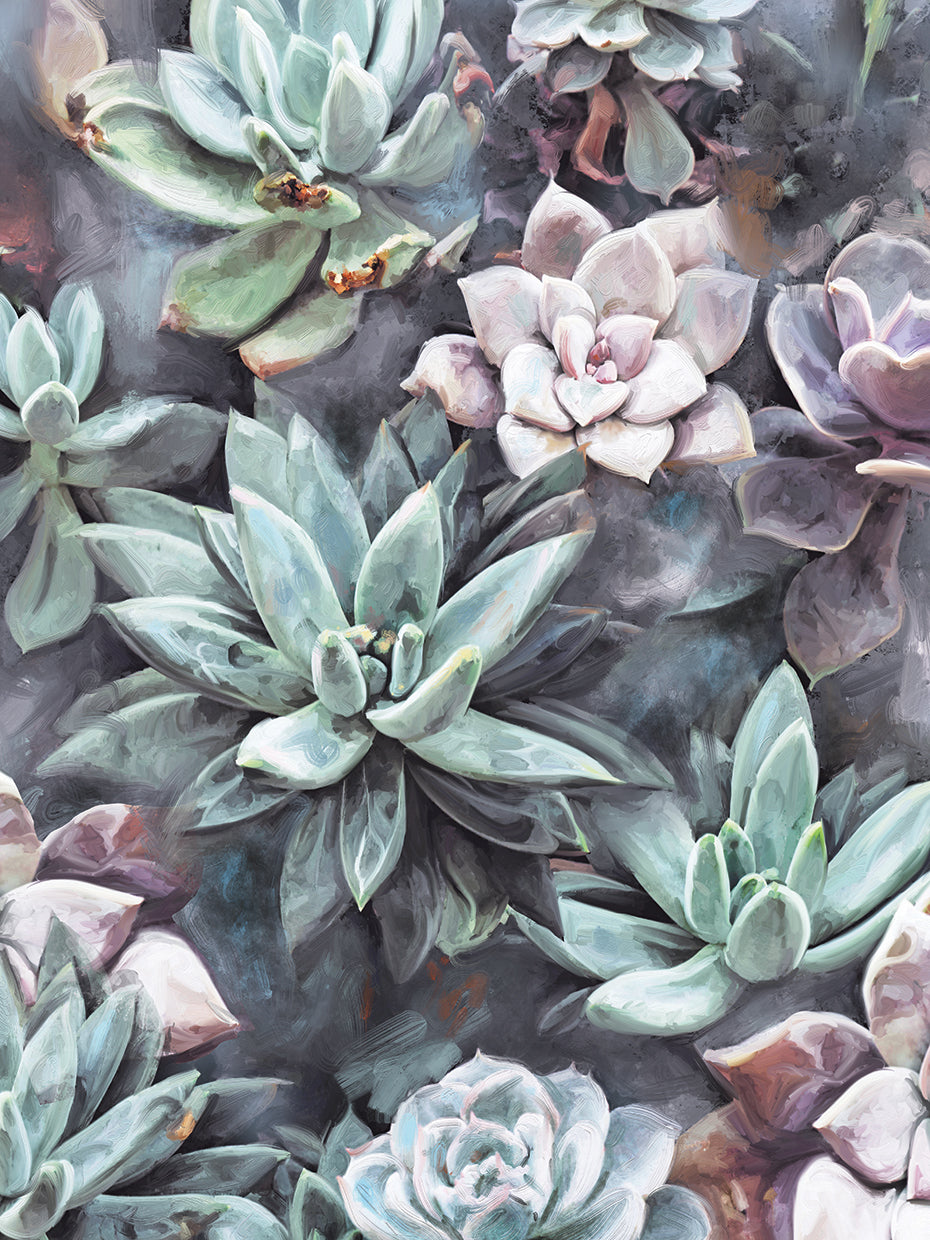 Succulents on Gray