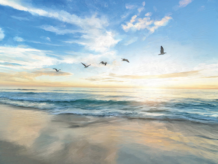 Coastal Flight Pattern