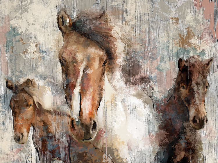 In The Wild by Studio Arts is an engaging horse equine painting printed on canvas or framed canvas