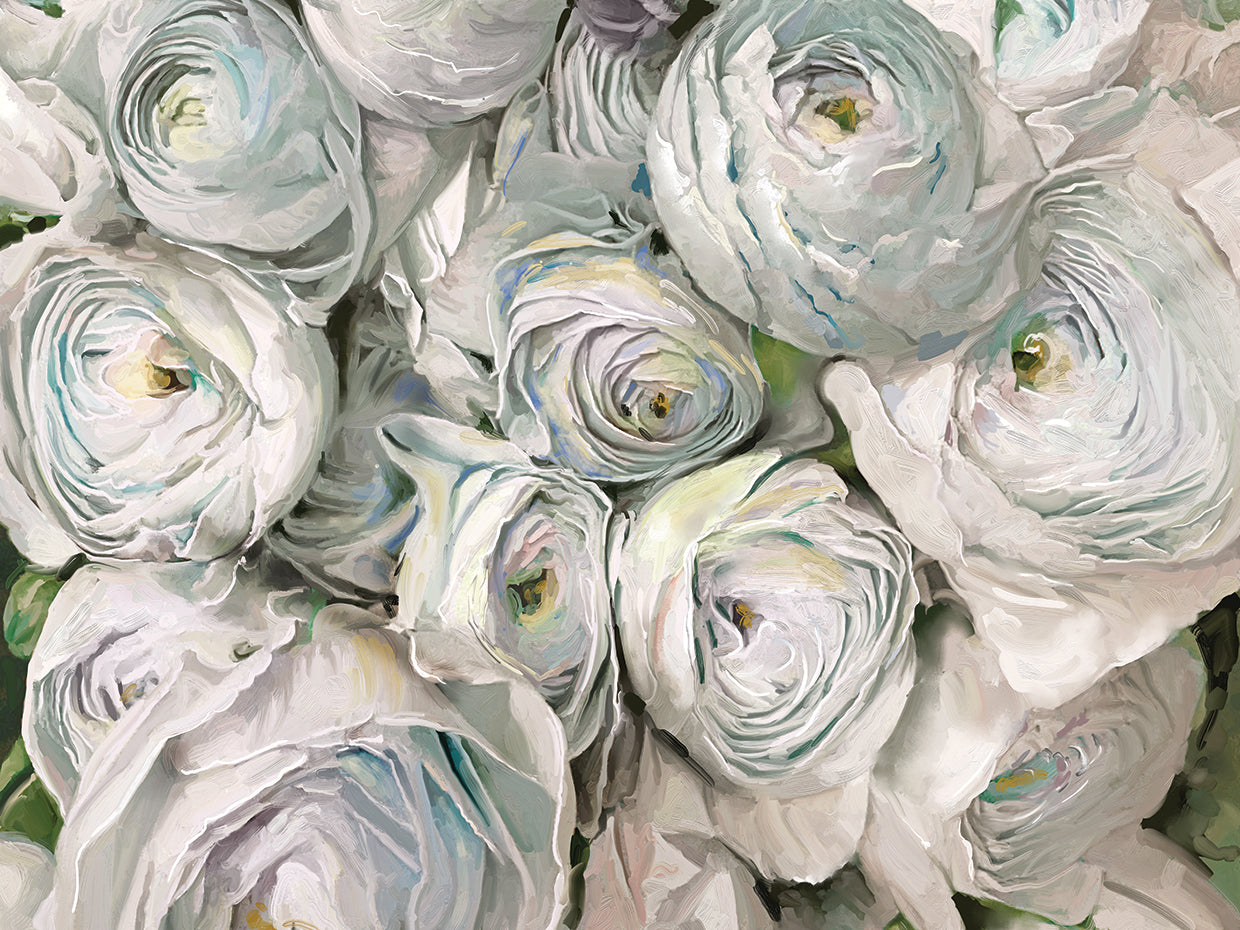 White Ranunculus