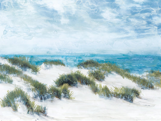 Among the Dunes Canvas Prints