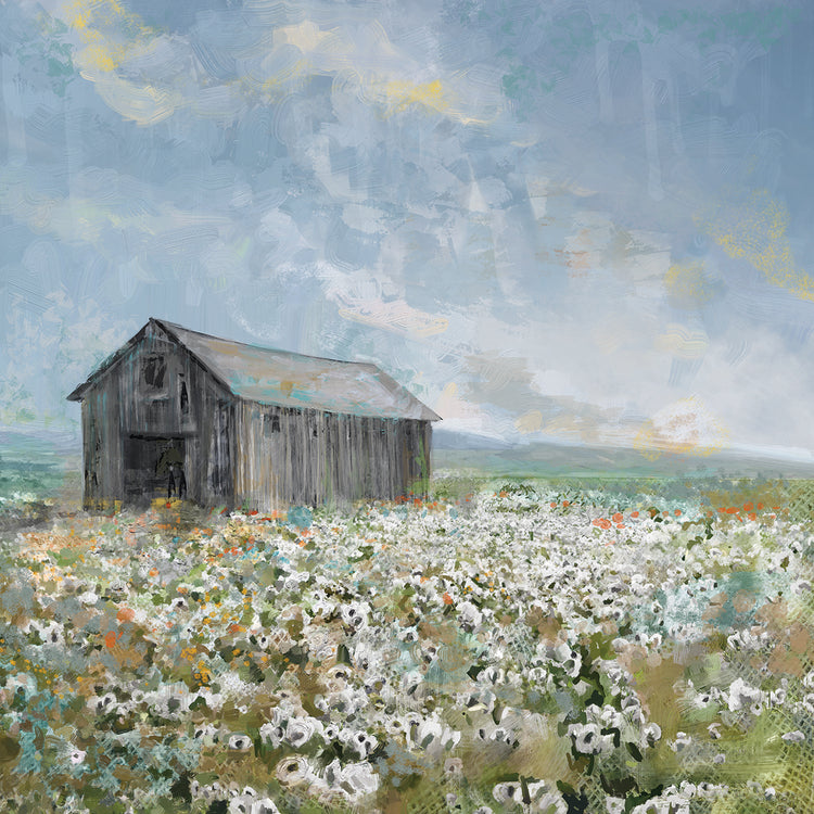 Barn with White Poppies
