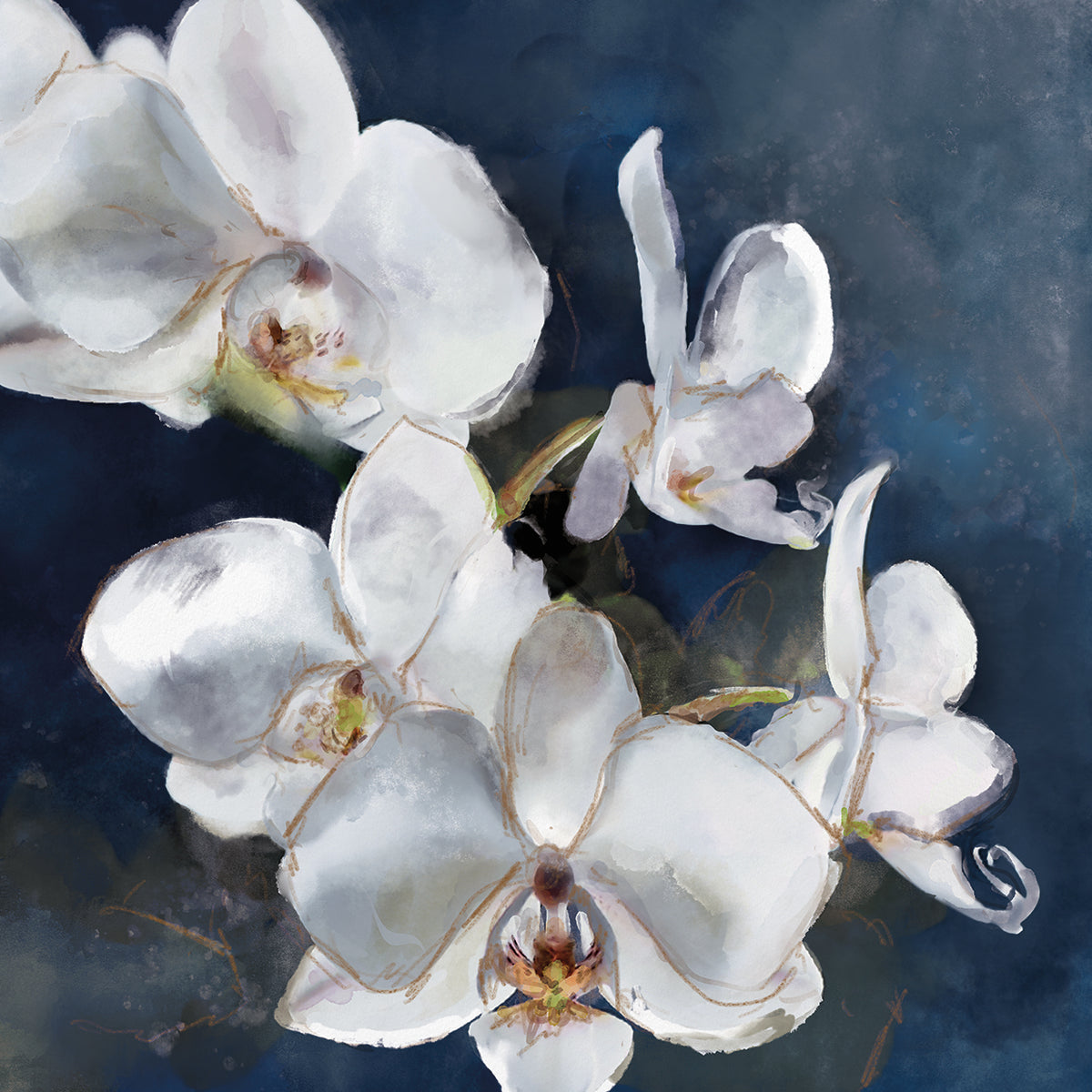 Orchid on Navy