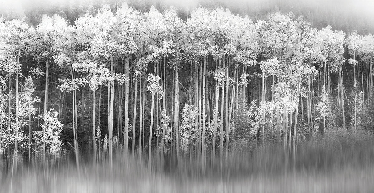 Dreamy Aspen