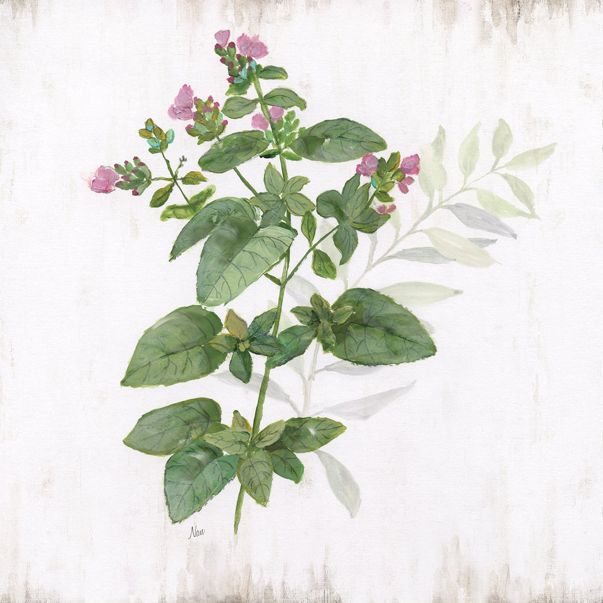 Kitchen Garden I by Nan - top quality wall art work on large canvas & framed canvas prints