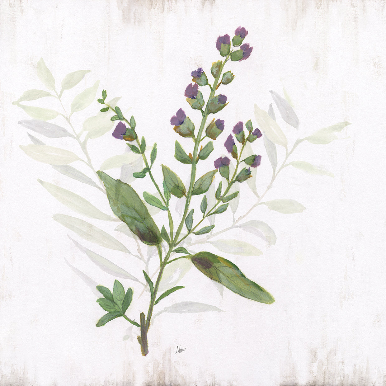 Kitchen Garden II by Nan - best quality handcrafted wall art work on large canvas & framed canvas prints