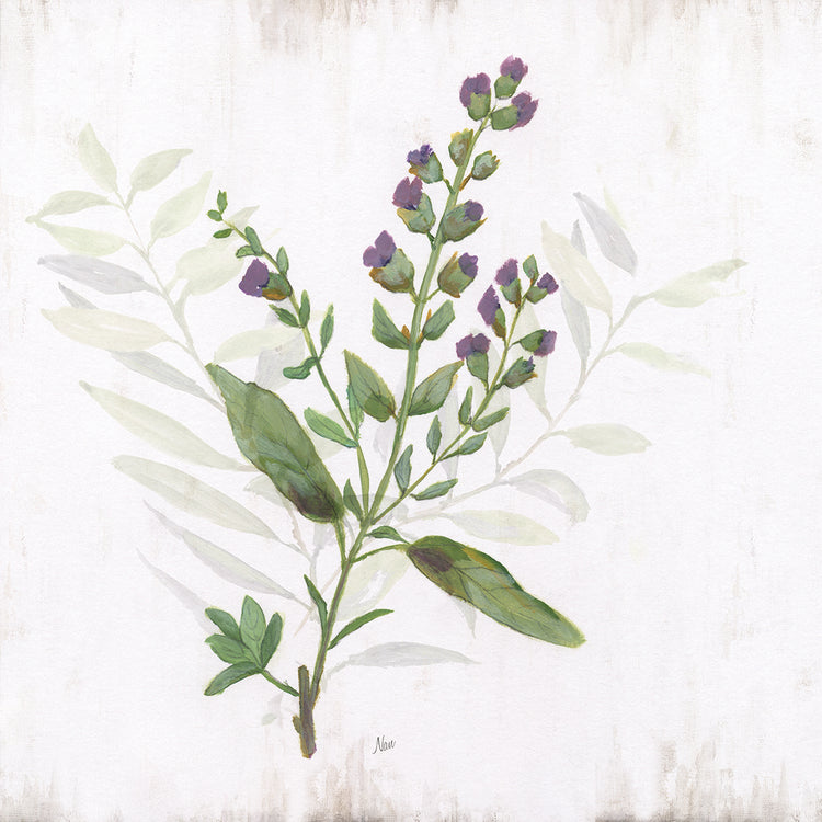 Kitchen Garden II by Nan - best quality handcrafted wall art work on large canvas & framed canvas prints