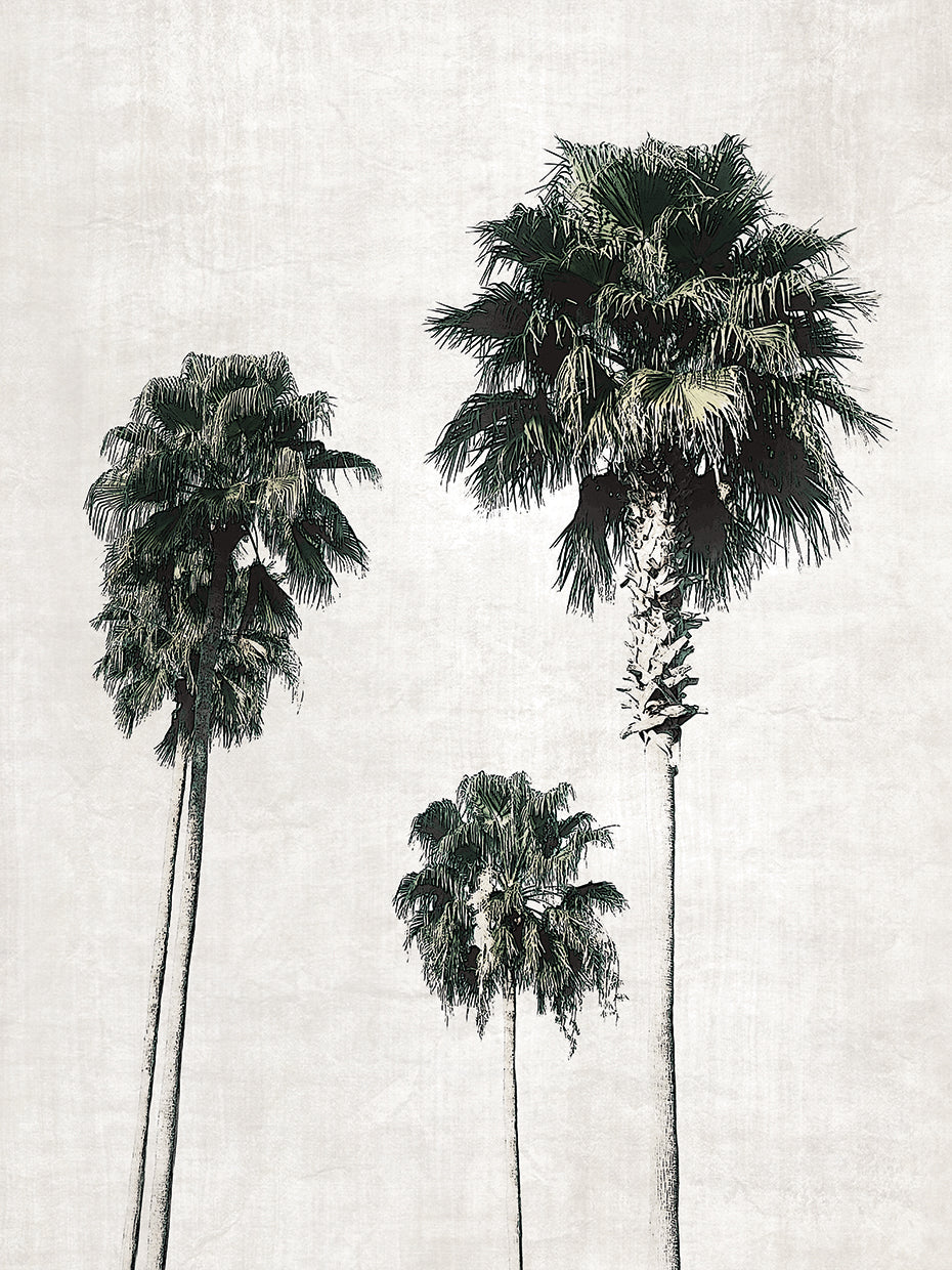 Sketchbook Palm