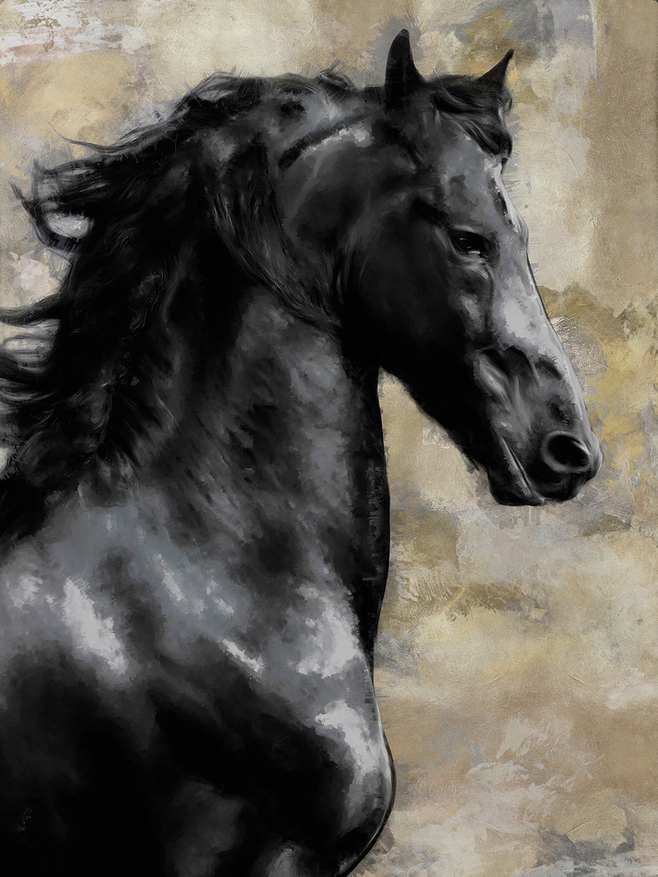 Bucephalus