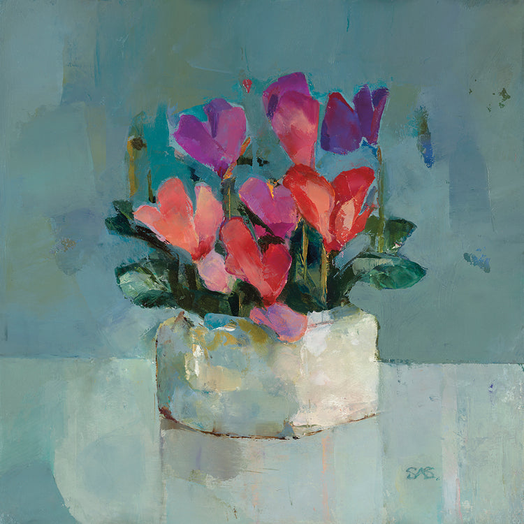 Pretty Pot of Cyclamen