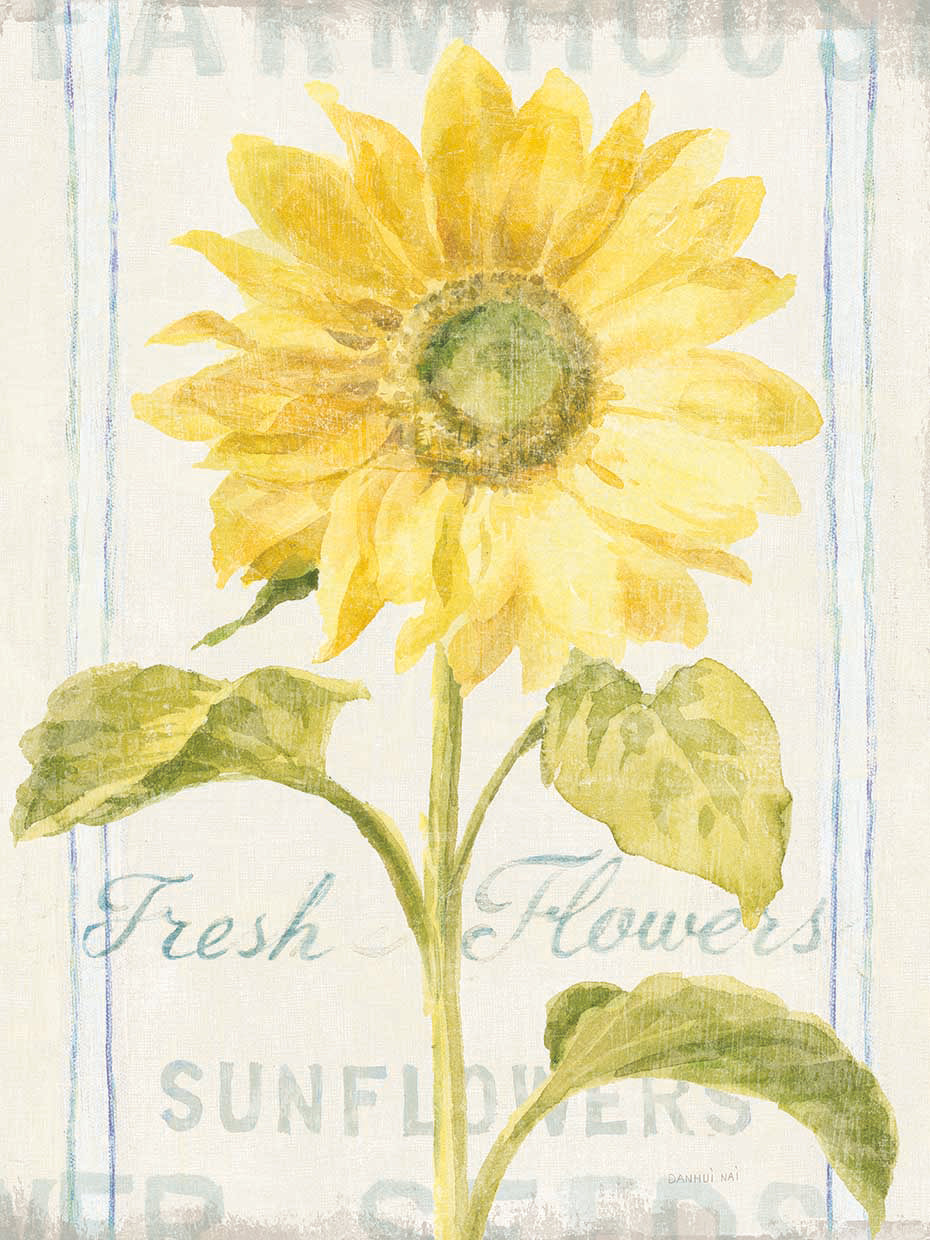 Floursack Florals II Crop by Danhui Nai - best quality handcrafted wall art work on large canvas & framed canvas prints