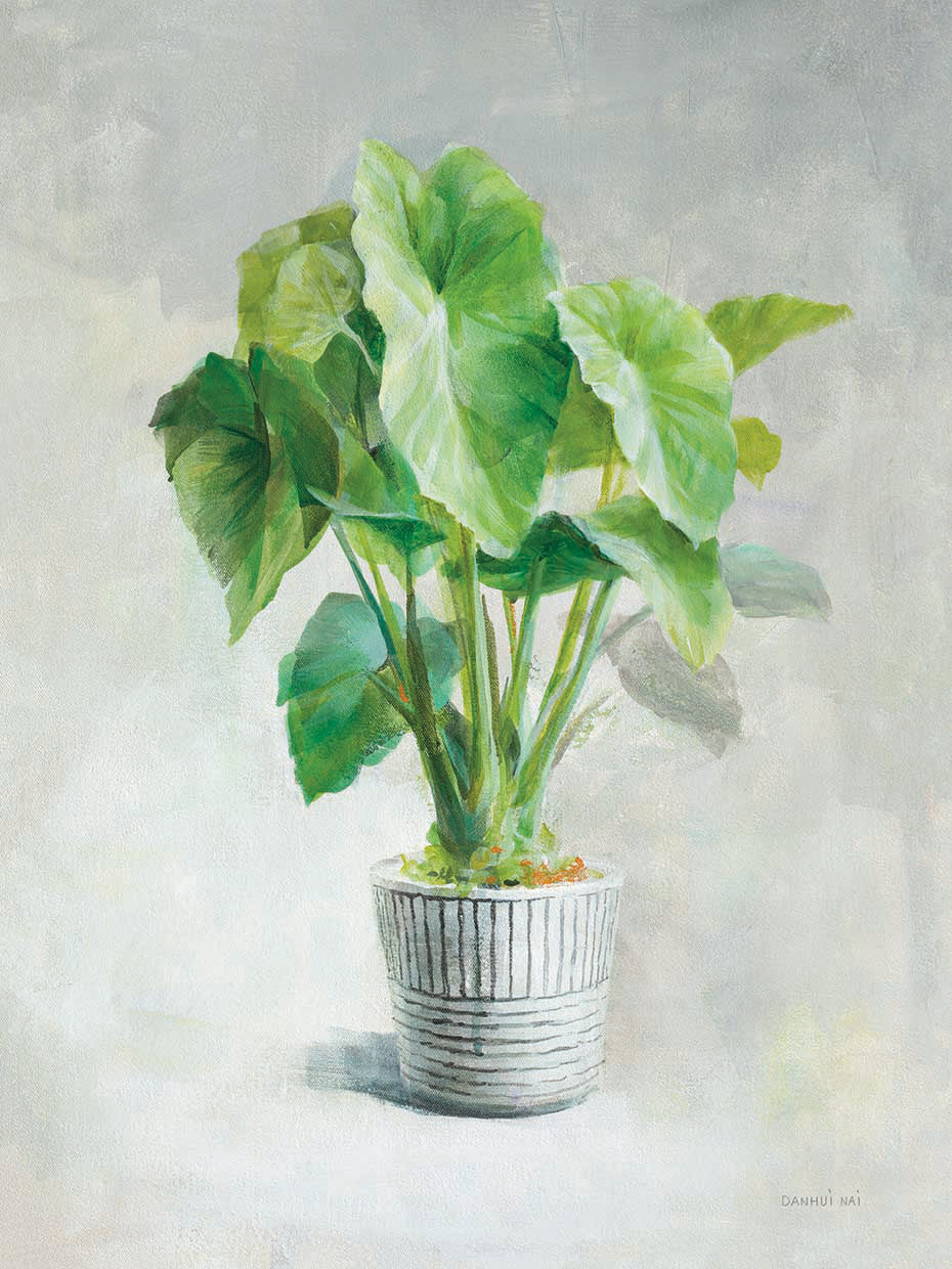Greenhouse Palm I by Danhui Nai - highest quality handcrafted wall art work on large canvas & framed canvas prints