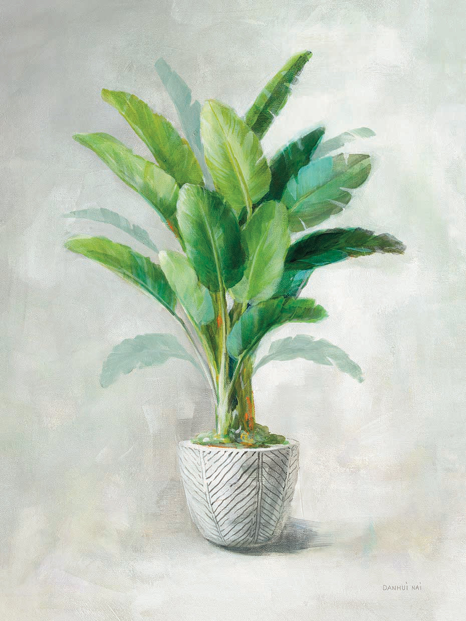Greenhouse Palm II by Danhui Nai - lowest price wall art work on large canvas & framed canvas prints