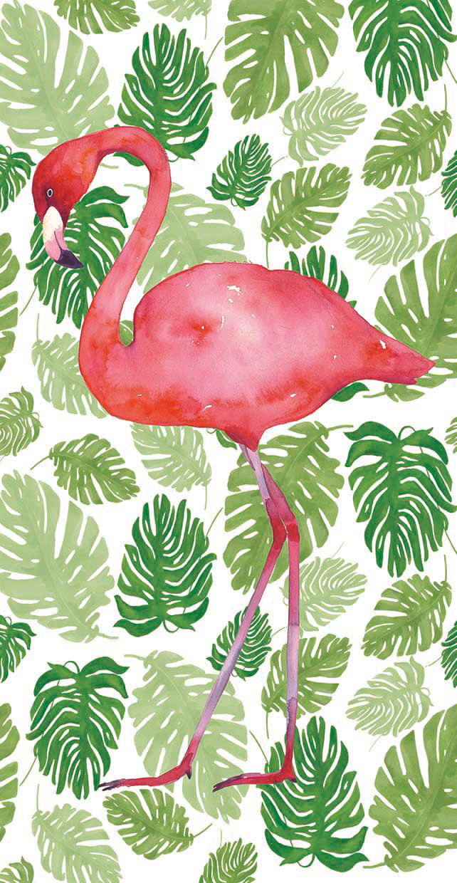 tropical-flamingo-ii-wild-apple-portfolio