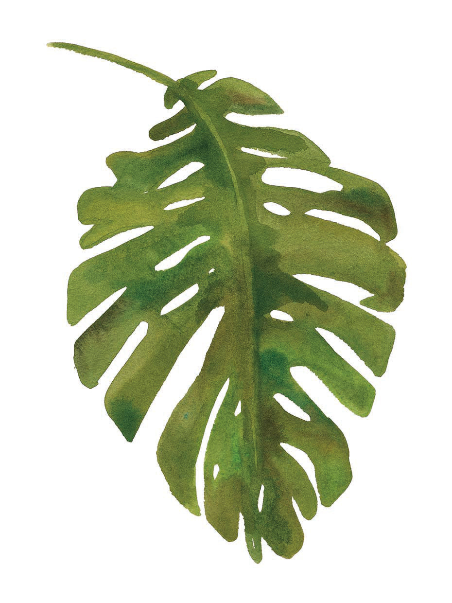 Tropical Palm I