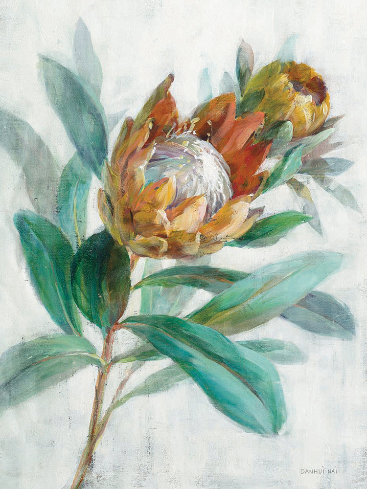 Tropical Protea by Danhui Nai - top quality wall art work on large canvas & framed canvas prints