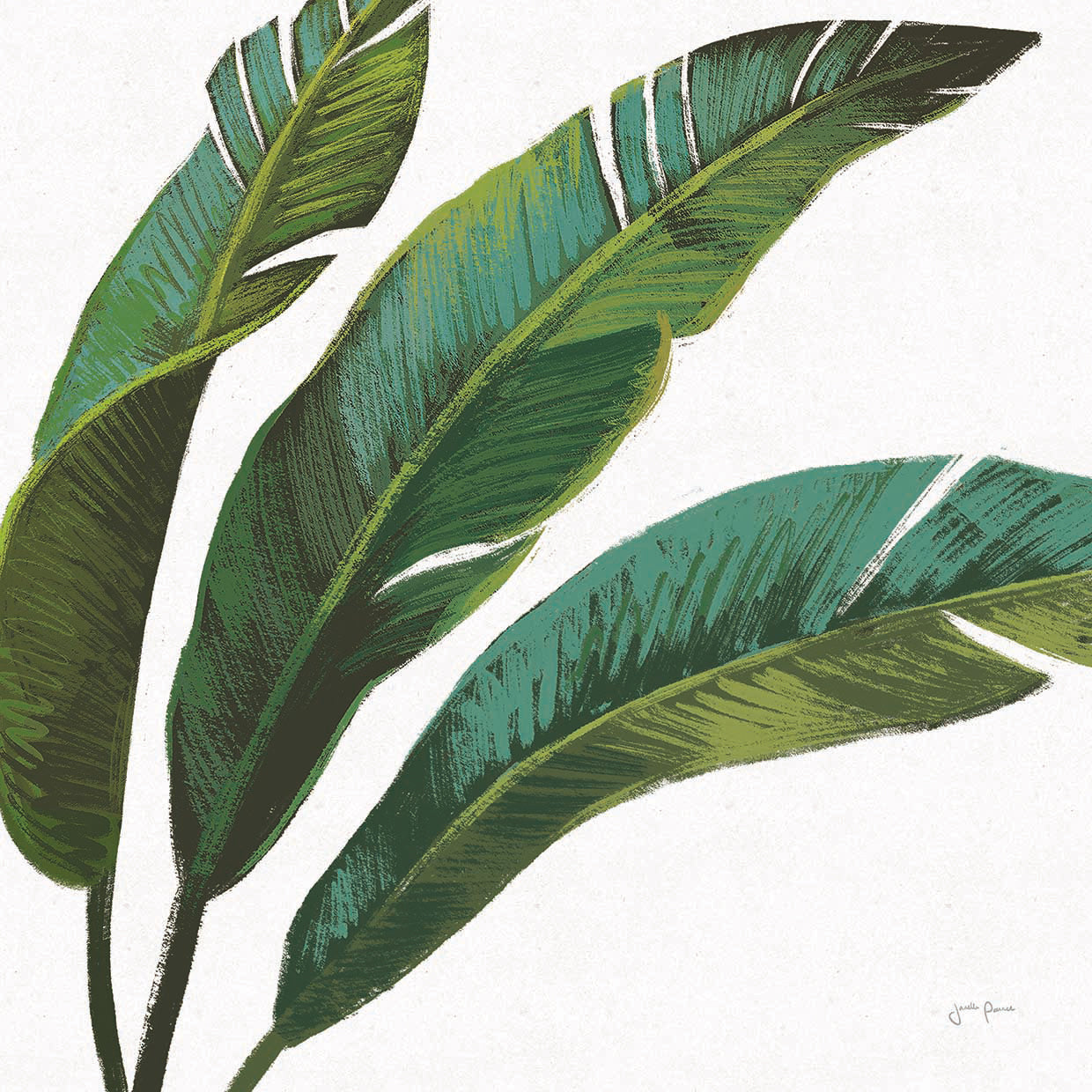 Welcome to Paradise XI on White