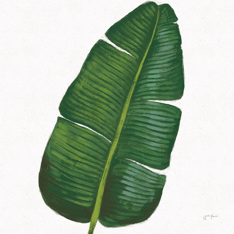 Welcome to Paradise XV on White