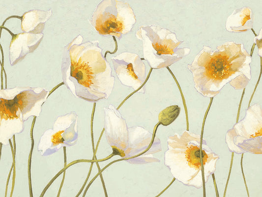White and Bright Poppies Canvas Art