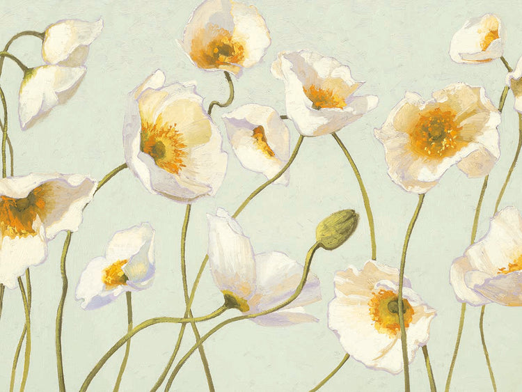 White and Bright Poppies