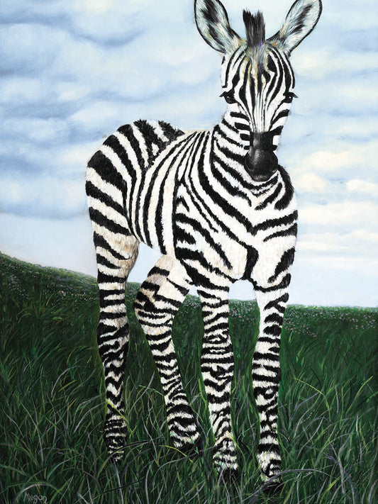 At Attention Zebra Canvas Print