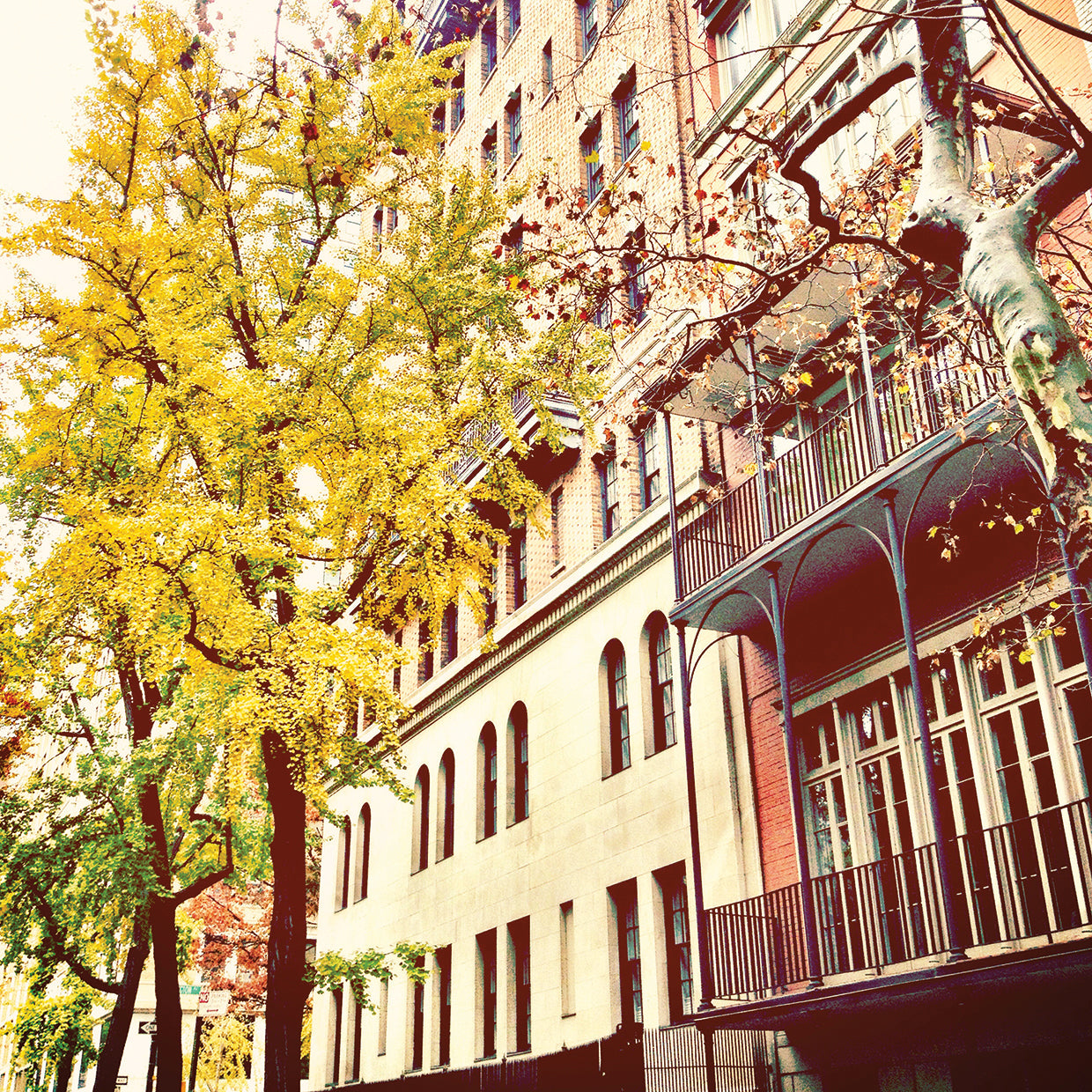 Chelsea Afternoon II