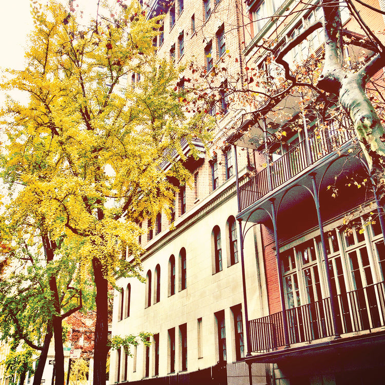 Chelsea Afternoon II