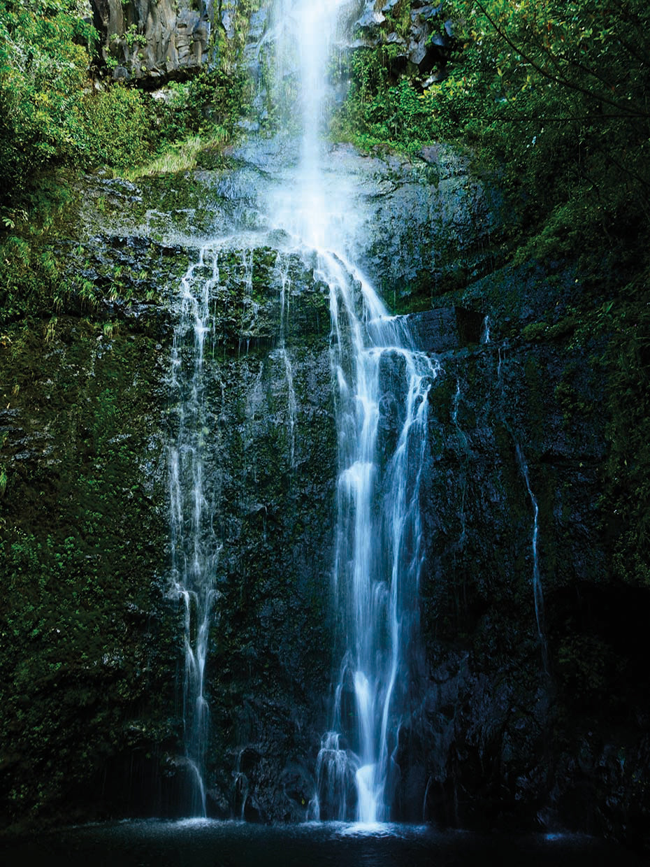 Natural Rain Forest